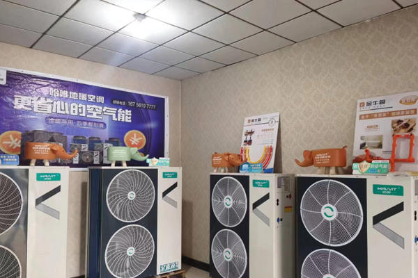 凭什么哈唯淡季能热卖——真是选对品牌平地起飞